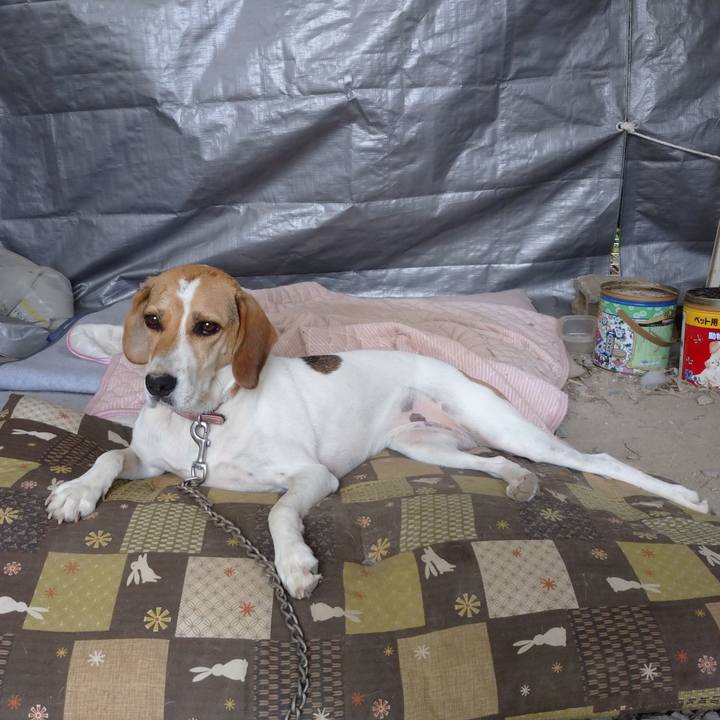 Ffeea17b 4e43 4326 8302 8a348f784d91 1599553701166