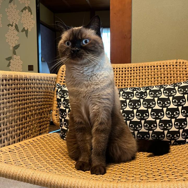 Ffeea9a5 805f 417d 8d16 6b7d0687d2ee 1663487862699