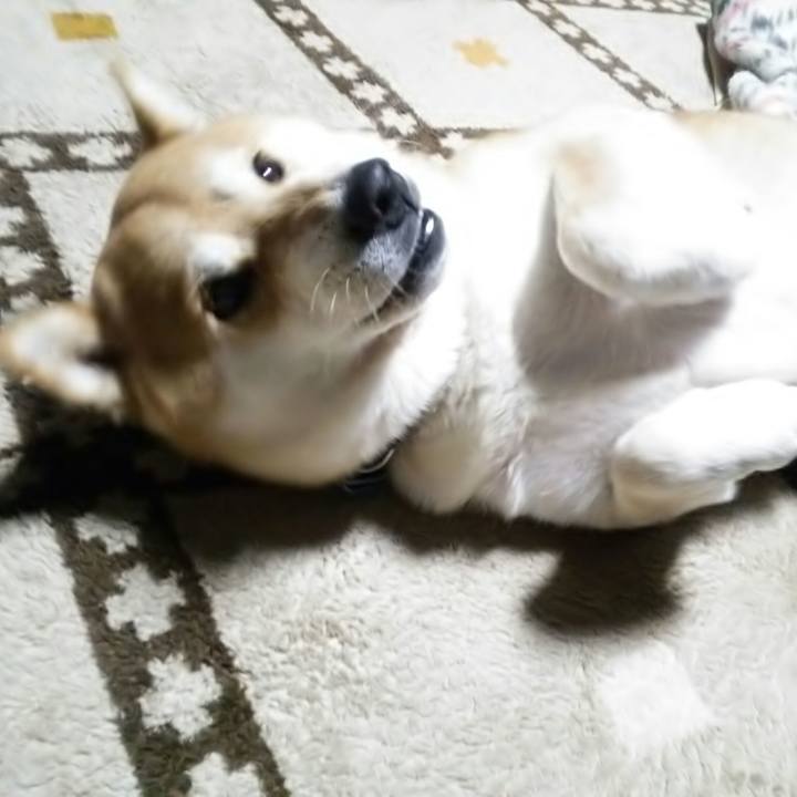 Ffeef837 d00d 432b b23e 26763aeaffe2 1573464617233