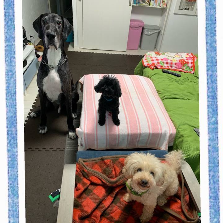 Ffeeff9a 031c 4a80 97b9 3972ac633c08 1594161761692