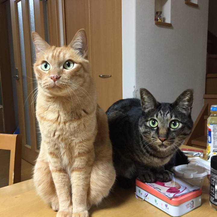 Ffef19f6 2a23 4df0 b3f0 cdca1f56af3c 1552387477573