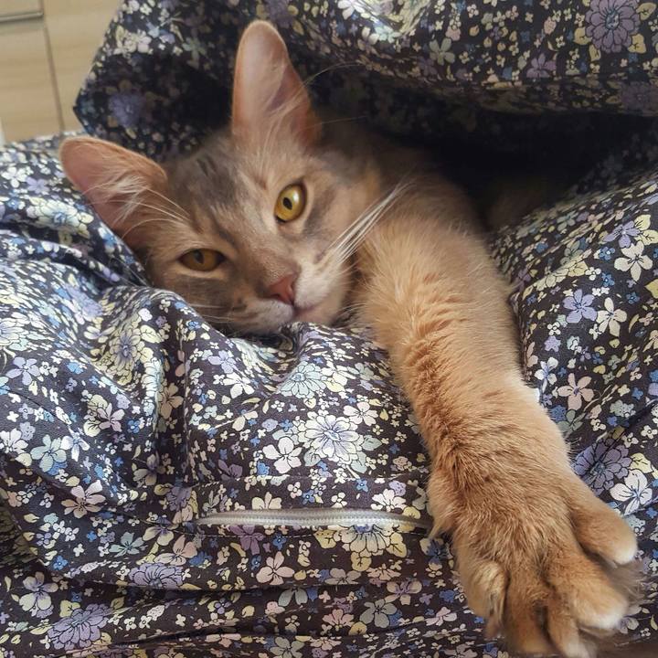 Ffef2109 570d 4c35 8bbe ed07293866b3 1515927254338