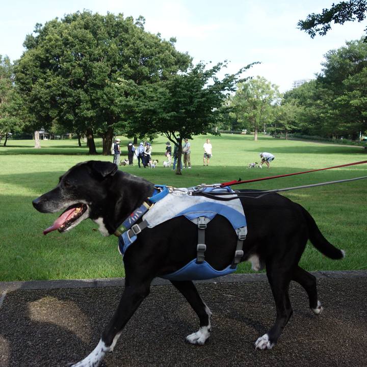 Ffef21b3 7c81 4dd3 877f 4c2ec2f94a97 1720310992546