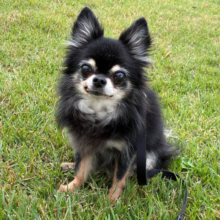 Ffef2e89 accc 45ac 833b 9d36345e6670 1763558194435