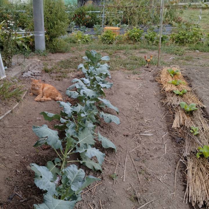 Ffef3863 05ec 4a1e a2d6 9459019d5430 1693947538265