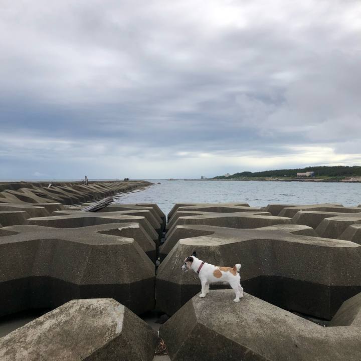 Ffef48d2 7f8a 45c0 bcf6 b8841bf2c2e5 1593819118531