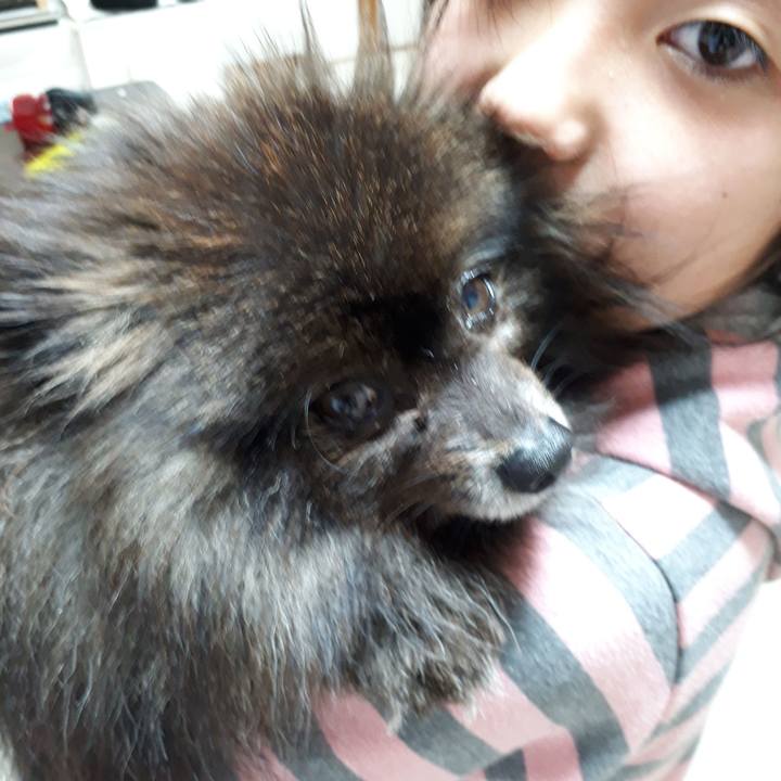 Ffef4c1b 807d 40df a8d6 19affac975ef 1519287380271