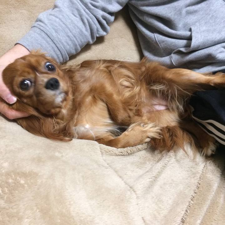 Ffef5ac5 a003 43a9 b4bf b75d216174fa 1521670376067