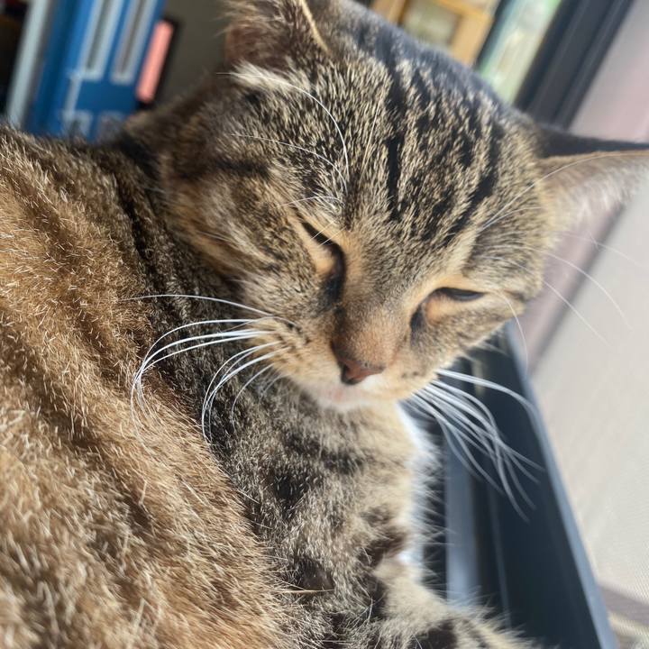 Ffef8b51 9c51 4b03 aa3e fb0c0c4e86b2 1595203393512