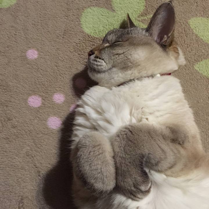 Ffefb31b fb6f 4e18 ba41 044562549e75 1548327062220