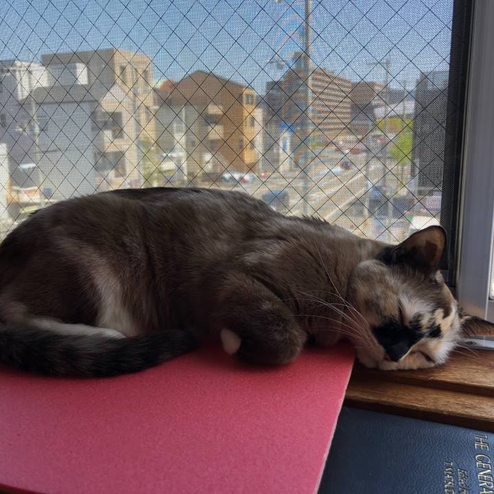 Ffefb761 4e08 463d 8fea b3930749d694 1775497336727