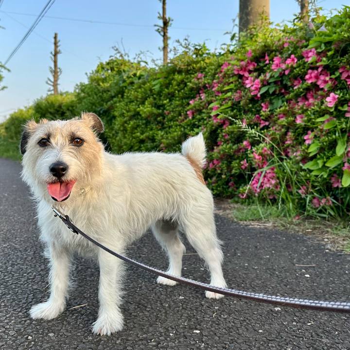 Ffefea14 3a9b 490b 8102 7652edc41841 1747738894506