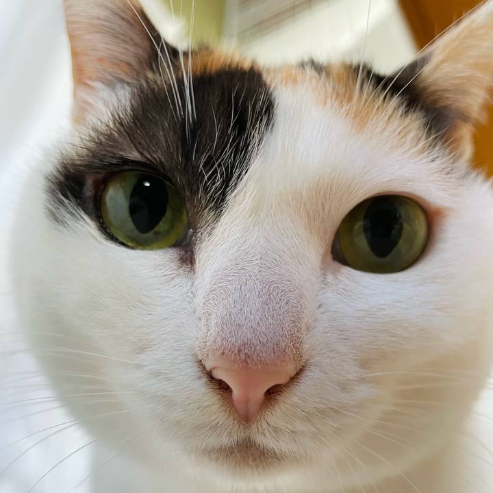 Fff013f3 117a 4c6a a884 d2e6a5c21ec9 1643684430274