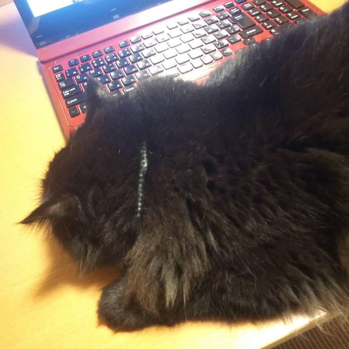 Fff0409f a027 4947 b4a5 237a621f620d 1568114136047