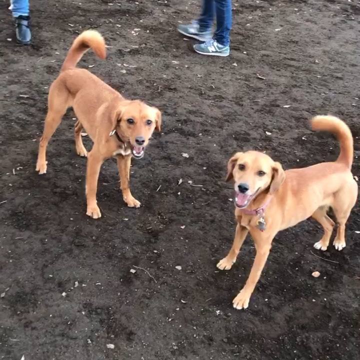 Fff06415 a7b3 4aa7 8bdd 29ffdcf3df25 1515514664932