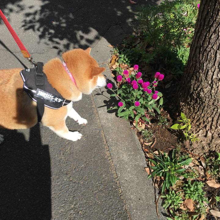 Fff06460 86ee 4a3b b9b2 5f1a9981d2a2 1599699835594