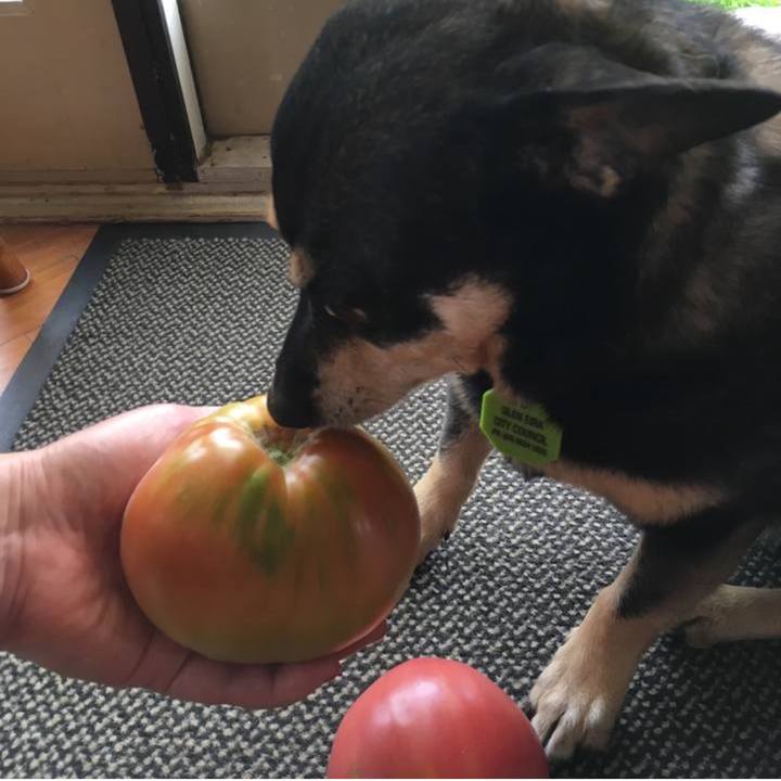 Fff07139 8442 4e85 9bf0 5e6a73f6ea30 1769409038152