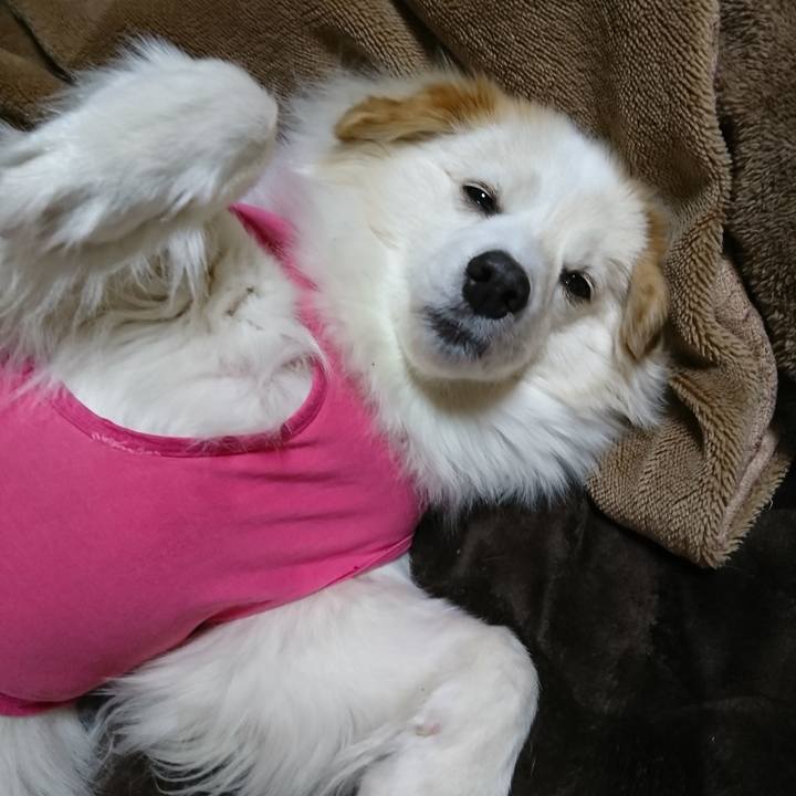 Fff0750c e7f4 4861 a5de 8b1ba75ef2fa 1522875530769