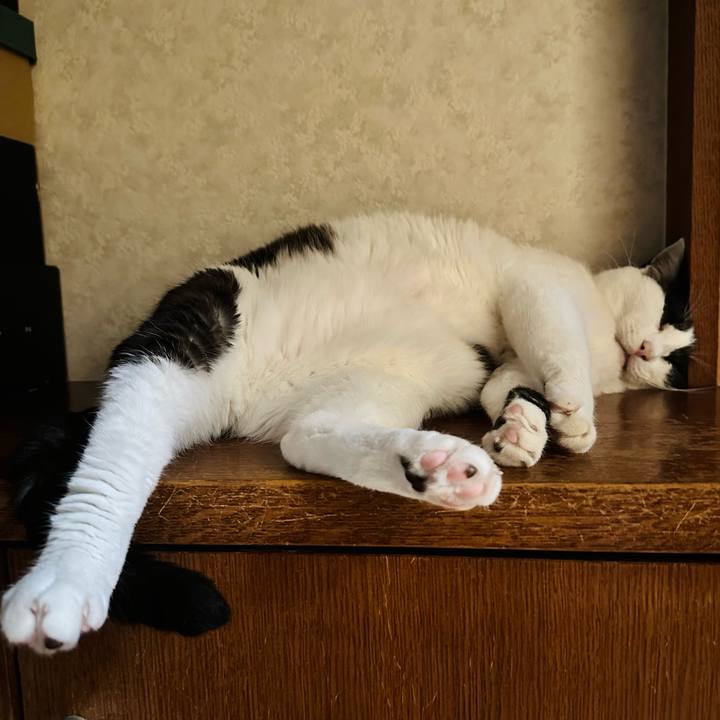 Fff0858e 2e20 419a b54e 5cadb0a509f7 1722382279854