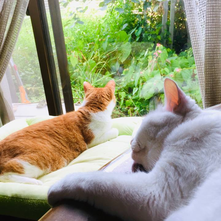 Fff0916c b93f 4036 a3d9 3675d9a13b28 1567220191050