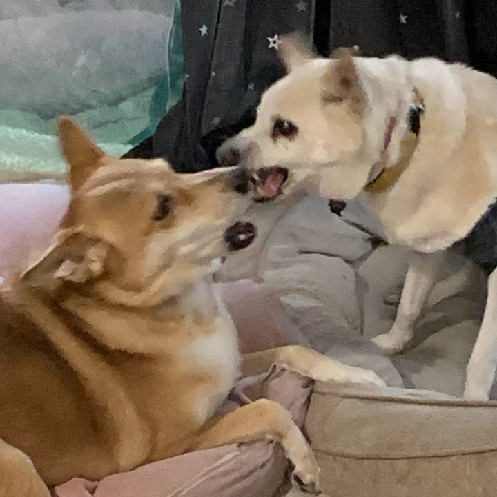 Fff0c417 2b7f 47d2 a7fe 27802cd27ad8 1736750719263