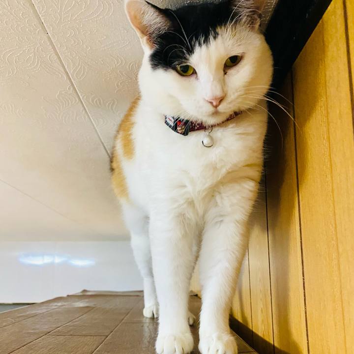 Fff11937 59a0 48aa 84d4 464b17f7b62b 1664112256018