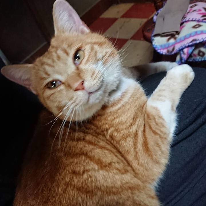 Fff11fbf b3da 49b5 b7d2 a779770faf3b 1576574957249