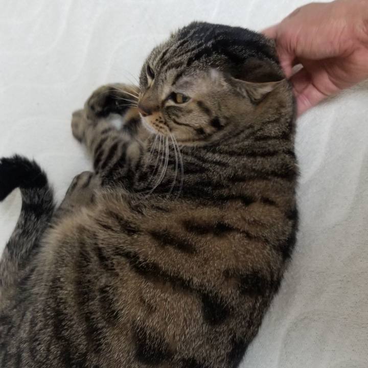 Fff12cc7 536a 4a9c 9d4f 6720a8a94aee 1553313453074