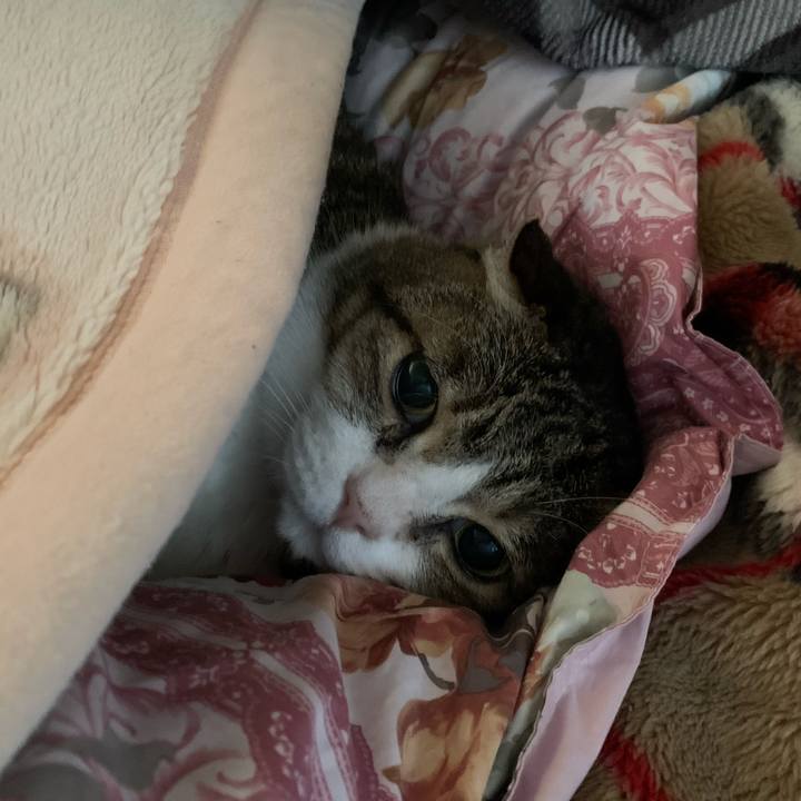 Fff13ade c897 4c6c 8eb0 ce6cb95c9ab6 1736119671386