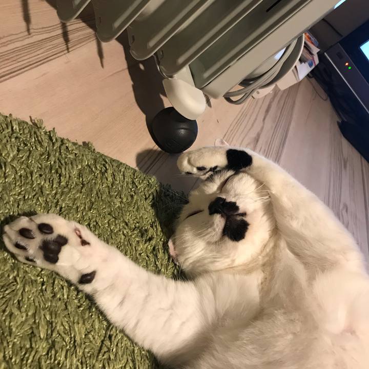 Fff14885 04dd 4a1b 9120 35b1ff5848e2 1575809735881