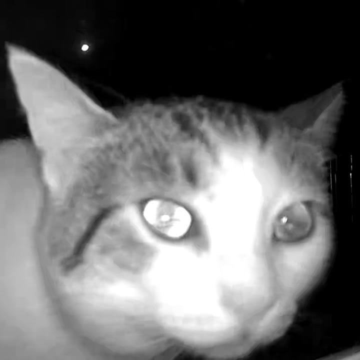 Fff14bf8 3b27 43f1 af6f 5c2879969900 1728896570675