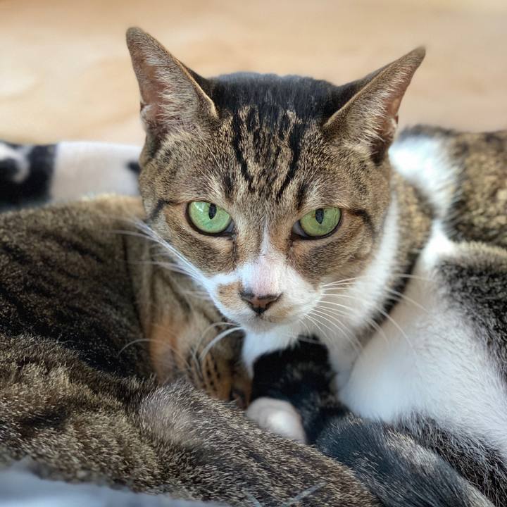 Fff15efc 4519 40fa 8052 bb09c2e257cf 1573434236169