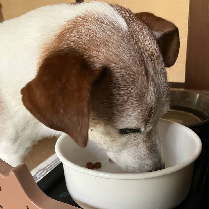 Fff17386 c343 482c 970c cc6620b72f8d 1762039149528