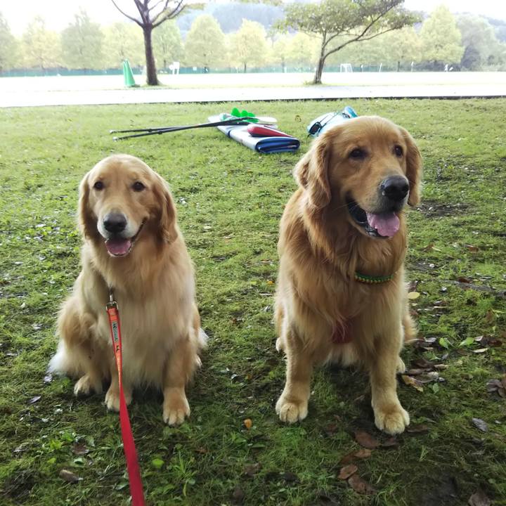 Fff1c27f a873 4ce3 940a fbcc85ab4169 1538365997283