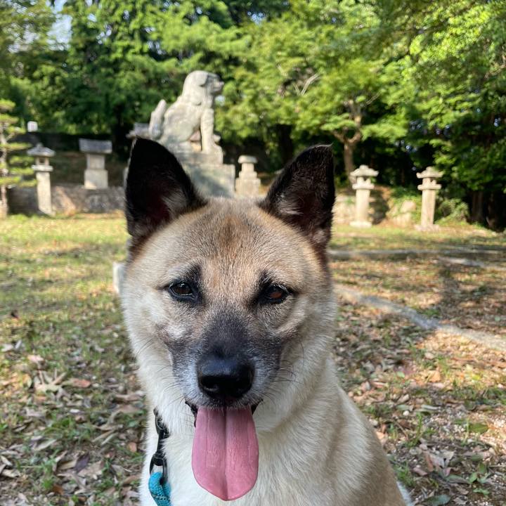 Fff1f8b4 4de7 4117 a9f9 eb75d034293e 1691839596350