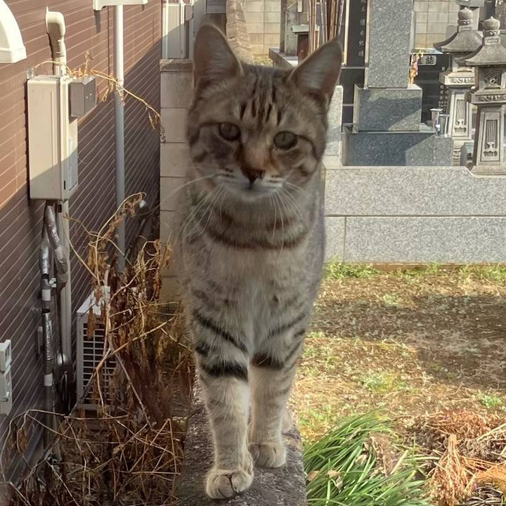 Fff225b9 6573 4464 91aa dc59721b53ee 1710127482937