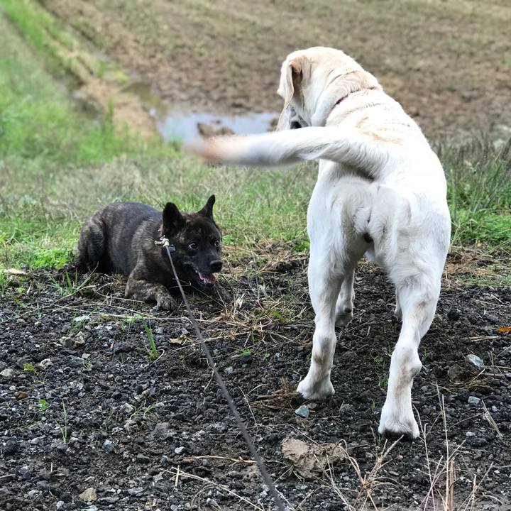 Fff263ef 2310 48dd 9644 6d0ae04f3885 1541030260565