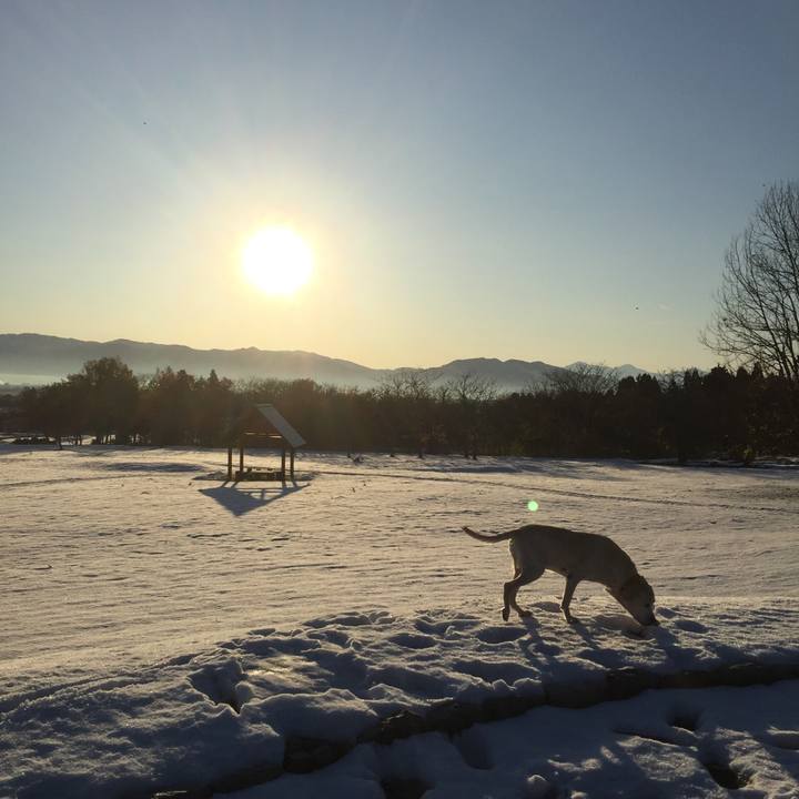 Fff28057 6562 47c0 b6c0 a10d6089db46 1547451466517