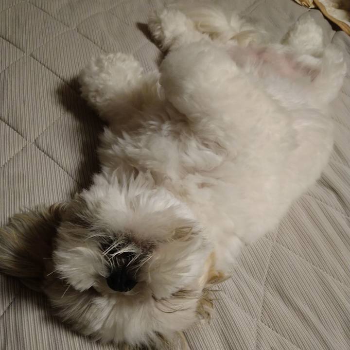 Fff28a2a 226e 42a4 bfa1 838de07d9b78 1660794836038