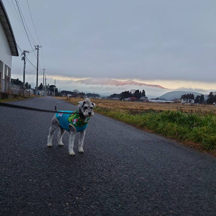 Fff28f1e d468 470c 8d4c 101e41e8ce6d 1766273383124