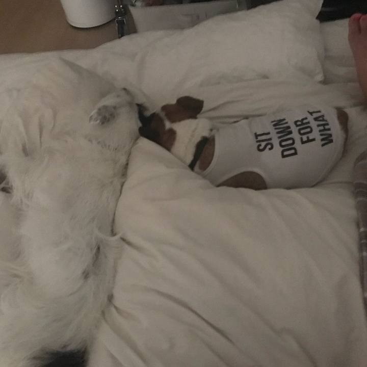 Fff2ba52 61f8 4866 8f76 fea72e65e534 1531236297914