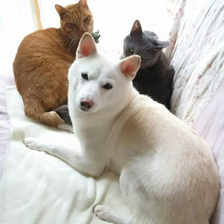 Fff2cee5 f777 4286 acdd ec53bf1a9d6c 1539572609756