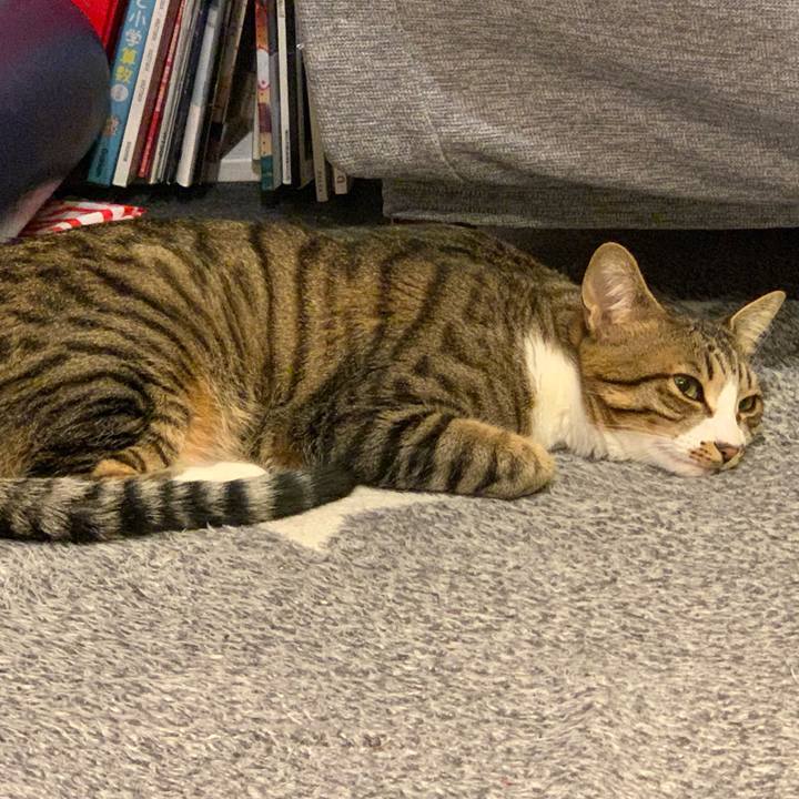 Fff2d27d cf51 4f86 b9e7 ace6123432d0 1656451175801