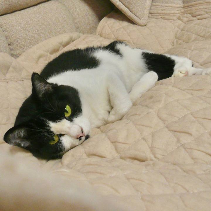 Fff2d566 a7bd 4b23 b491 3b49d0ac30f1 1626165307054