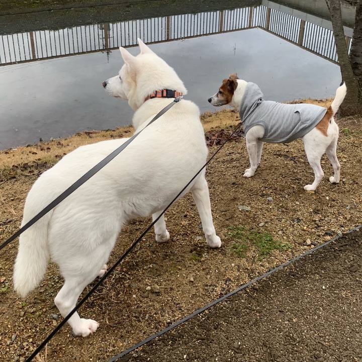 Fff2d65f bb4a 4e23 badc 80028f6a9e5f 1546742606210