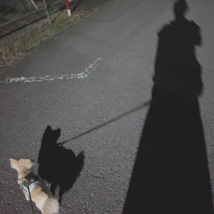 Fff2f8e7 8f3f 4e0f 889c 9494ad09f630 1690197937260