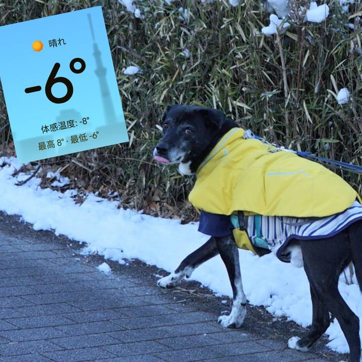 Fff3047c 07bf 400b 802f ceb77f3d4502 1770597027266