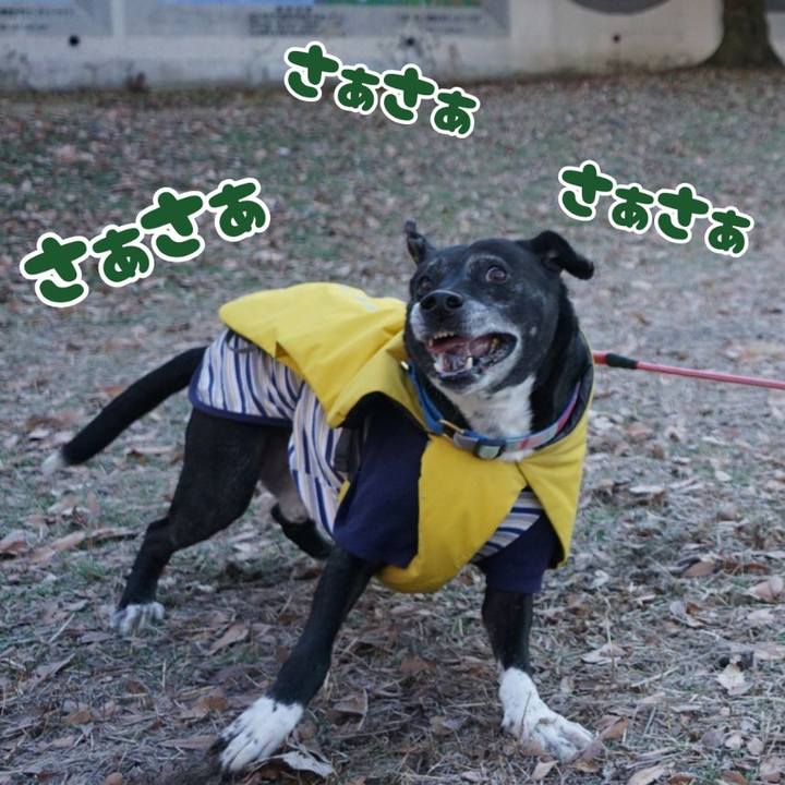 Fff34940 7e86 422a a442 64d7013226f3 1767832940832