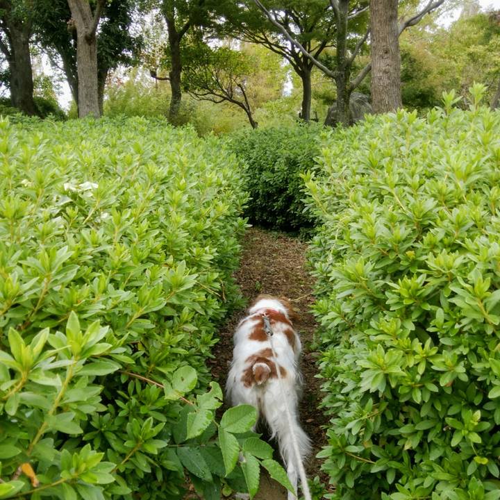 Fff35f28 a50c 46db 9842 dfdf89fb3fe1 1540286190964