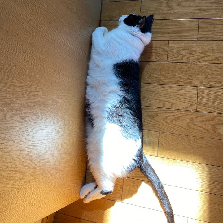 Fff3c5a1 69fe 44ec 8f69 c6ee0d29f6fb 1626649472943